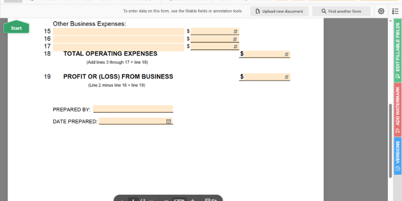 Profit & Loss Statement Screnshot 3