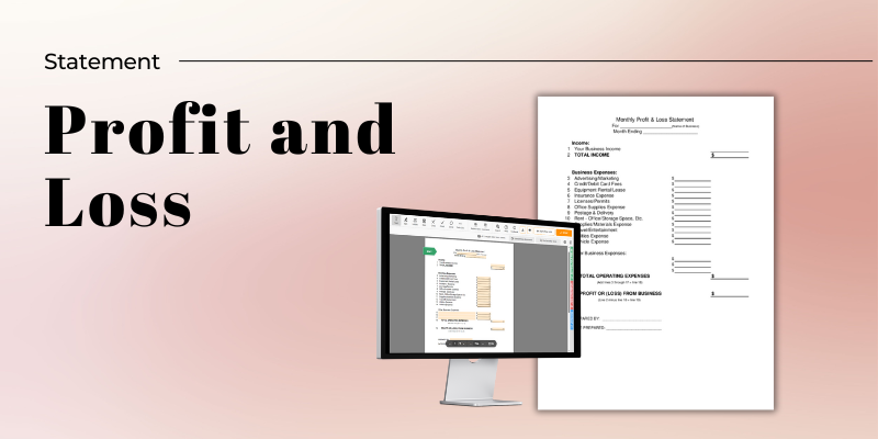 Fillable profit & loss statement form on the comouter and printable version